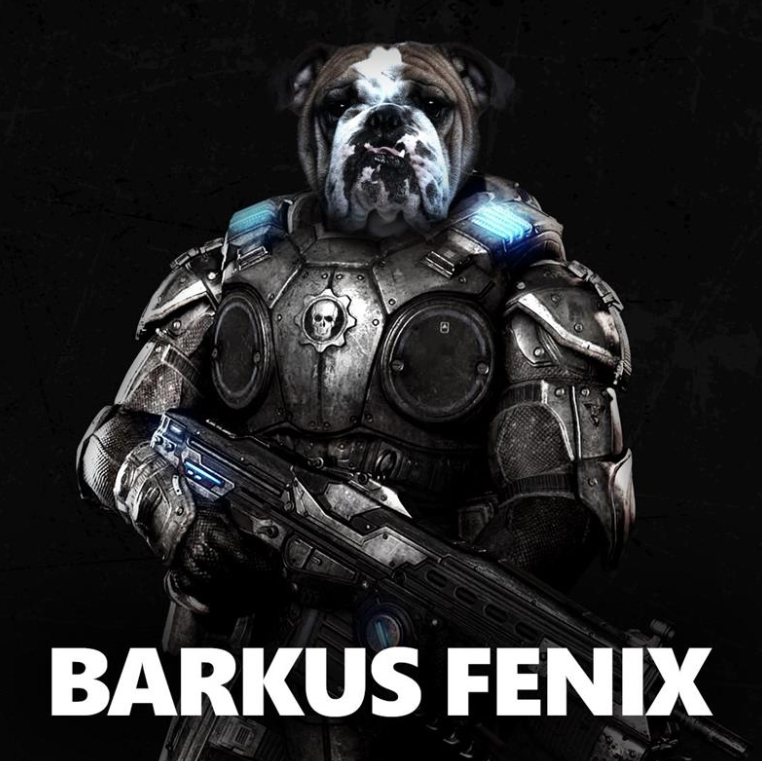 Barkus Fenix - a dog wearing the Marcus Fenix costume from Gears of War